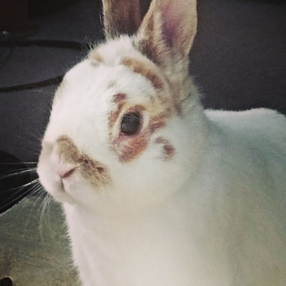 Meet your Posher, Jennifer - Picture 1 of 1